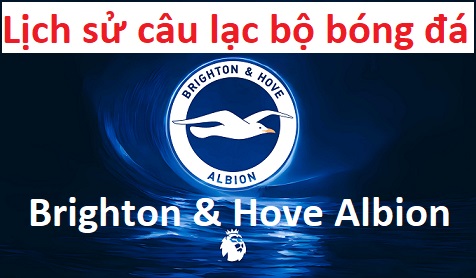 Lich-su-Cau-lac-bo-bong-da-Brighton-Hove-Albion